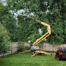 Best Leaf Removal  in Wlowbrook, IL